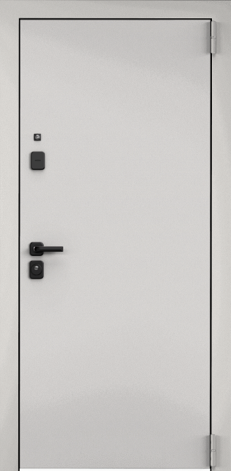 Колоре бьянко в Пензе